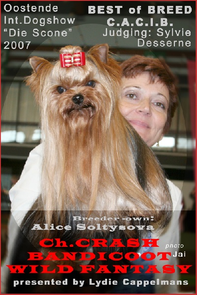 Bandicoot de Alice Soltysova que je présente : je suis son handleuse
